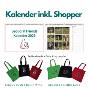 Kalender 2026 (DIN A3 Querformat) + Shopper (Setpreis)