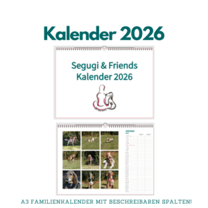 Kalender 2026 (DIN A3 - Querformat)